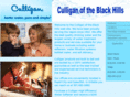 blackhillsculligan.biz