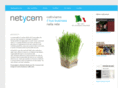 creazione-sito-web.info