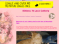 kittensnlace06.com