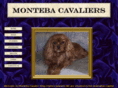 monteba.net