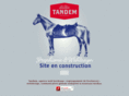 tandem-studio.com