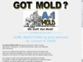 a1moldinspection.com