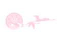 flypelicanfly.com