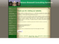 rbraswellconsulting.com