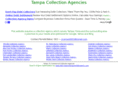 tampa-collectionagency.com