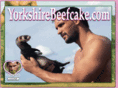 yorkshirebeefcake.com