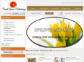 curbyourcollecting.com