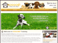 doggonitnh.com