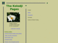 kolodji.com