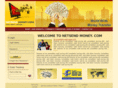 netsendmoney.com