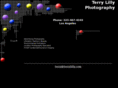 terrylilly.com