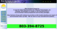 bluehorizonsgroup.com