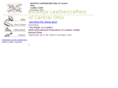 buckeyeleathercrafters.org