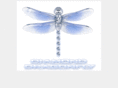 diamondragonfly.com
