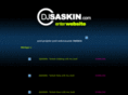 djsaskin.com