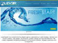 leverdigital.com