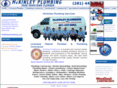 mckinleyplumbingservices.com