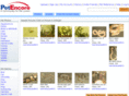 petencore.com