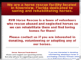 rvrhorserescue.com