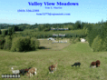 valleyviewmeadows.com