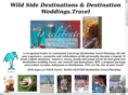 arenalweddings.com