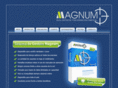 gestionmagnum.com.ar