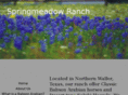 springmeadowranch.com