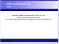 webconsultantsoncall.com