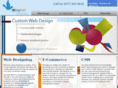 wingsofttechnology.com