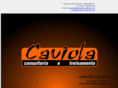 caviolaconsultoria.com