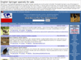 englishspringerspaniel.org