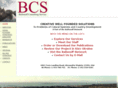ballonoffconsulting.com