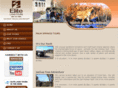 palm-springs-tours.com