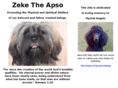 zeketheapso.us
