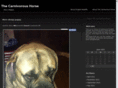 carnivoroushorse.com