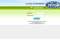 ce-magnetimarelli.com