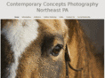 contemporaryconceptsphotography.com
