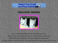 kittycatsndogs.com