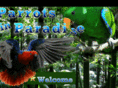 parrotsinparadise.net