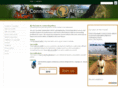 connecting-africa.net