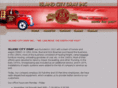 islandcitydray.com