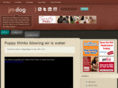 jmdog.com