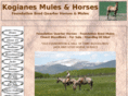 mulesandhorses.com