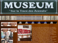 museesaintmartin.com
