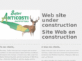 safarianticosti.com