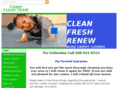 carpetcleanteam.com
