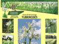tntuberoses.com
