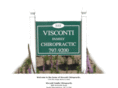 viscontichiropractic.com