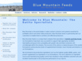 blue-mountain.net