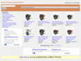 pearldrumsuperstore.com